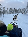 IMG_8530