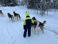 IMG_8582