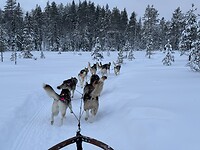 IMG_8536