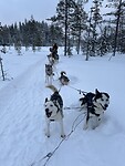 IMG_8571