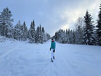 IMG_8621