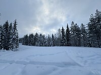 IMG_8625
