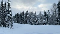 IMG_8633