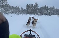 IMG_8579