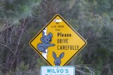 Verkeersbord koala's
