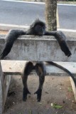 lekker relaxen