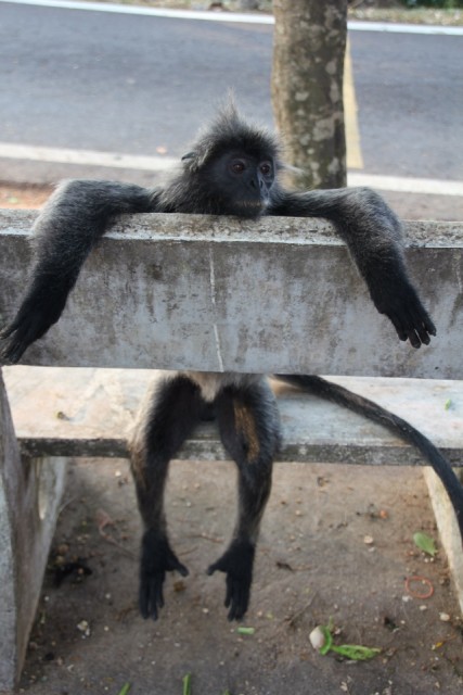 lekker relaxen
