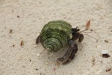 IMG_9217