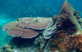 PIC_0222
