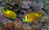 PIC_0299