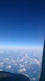 auckland - sydney
