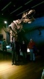 Dinosaurus