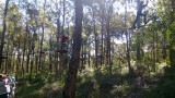 Tree top hill adventure