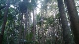 central station fraser island