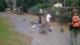 Cooberrie Park