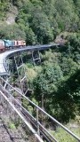 scenic railway kuranda