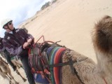 Robert in the ' dessert'.