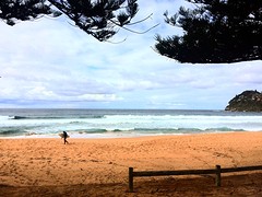 Road trip met Li naar Whale Beach