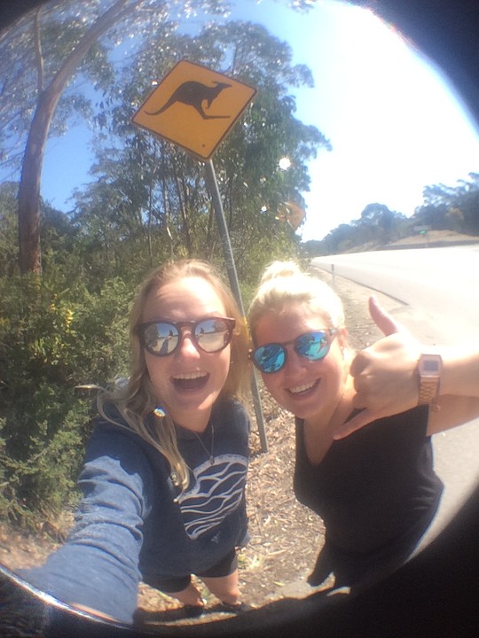 Opweg naar Blue Mountains