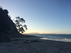 IMG_9431