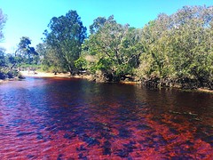 Tea Tree lake in Byron