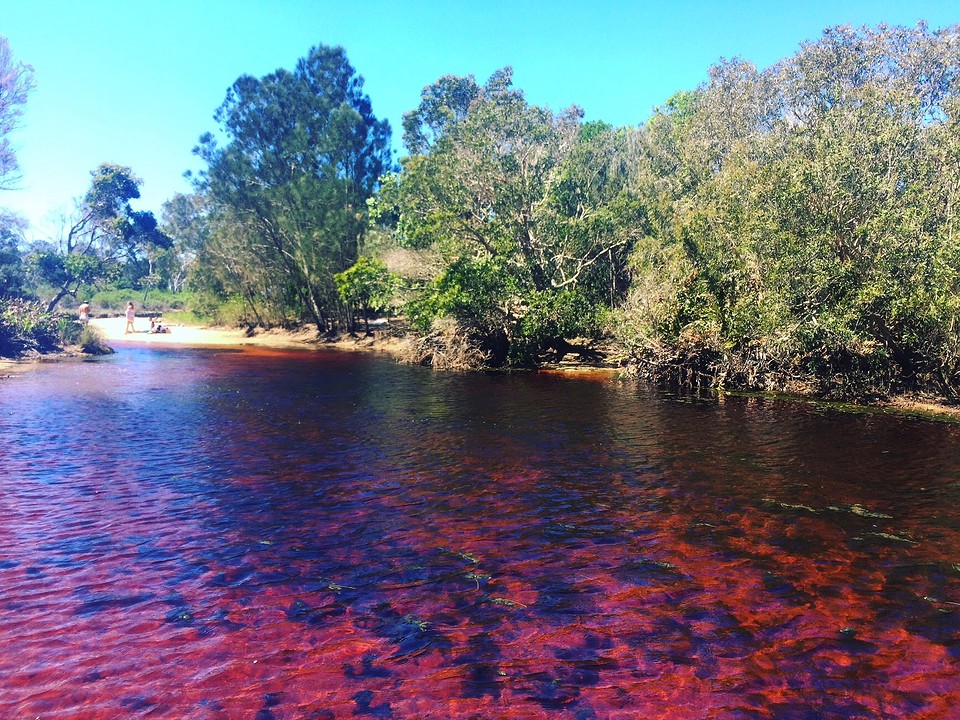 Tea Tree lake in Byron
