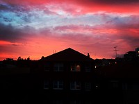 IMG_2233
