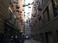 IMG_8567