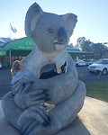 IMG_0481