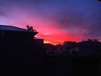 IMG_1622