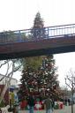 kerstboompje
