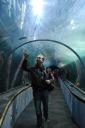 in San Francisco Aquarium