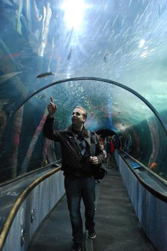 in San Francisco Aquarium