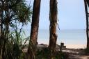 Fraser Island strand
