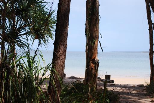 Fraser Island strand