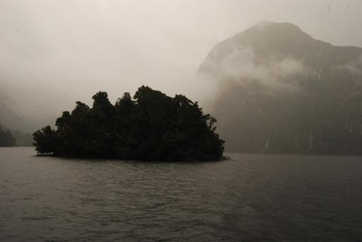 Eilandje in Doubtful Sound