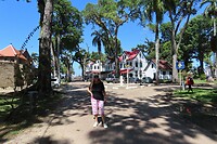 IMG_1446