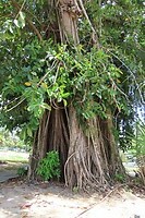 IMG_1483