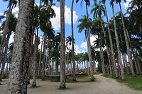 Prachtig stadspark (als er geen troep ligt)