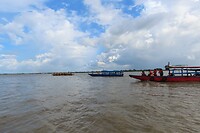 Zoekend naar de Guiana-dolfijnen