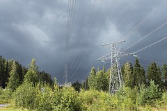 IMG_5772