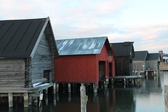 thumb_IMG_8444_1024