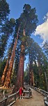 IMG-20240420-WA0199
