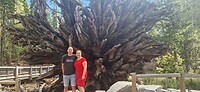 IMG-20240420-WA0175