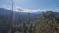 View yosemite mariposa Grove hike