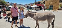 IMG-20240428-WA0045