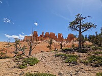20240502_152003(0)