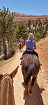 IMG-20240502-WA0022