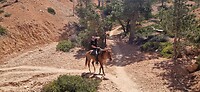 IMG-20240502-WA0082