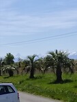 IMG_20230408_134424